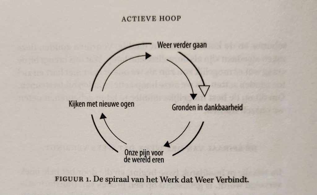 Figuur 1 uit het boek: Actieve hoop. Joanna Macy & Chris Johnstone